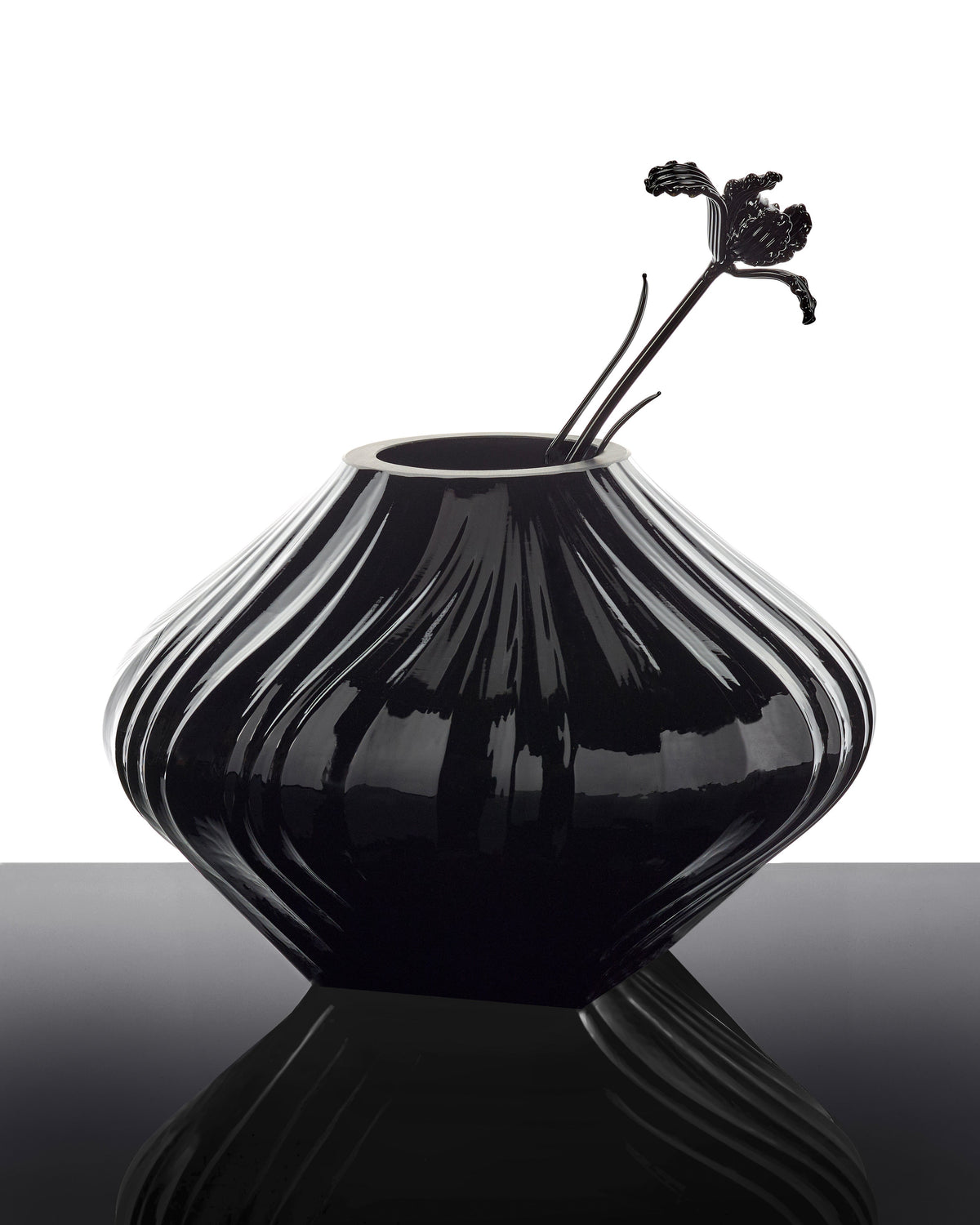 Flower Tulip black Josephine