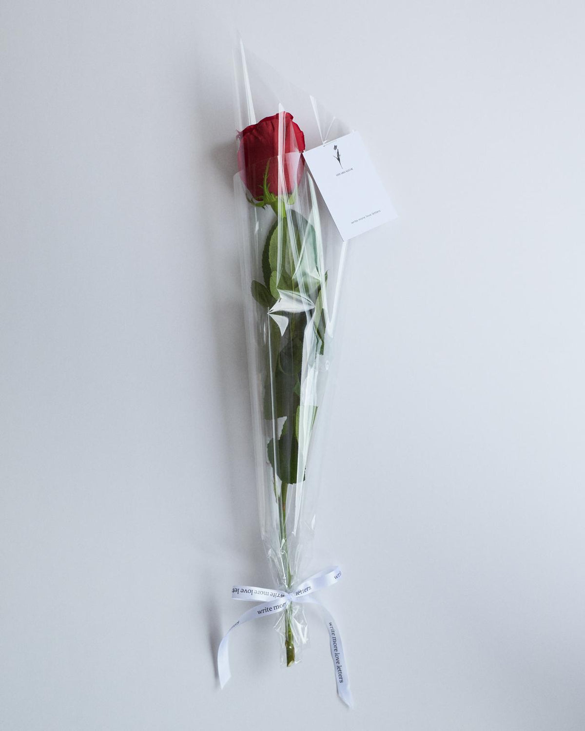 Kris Van Assche, introductory image