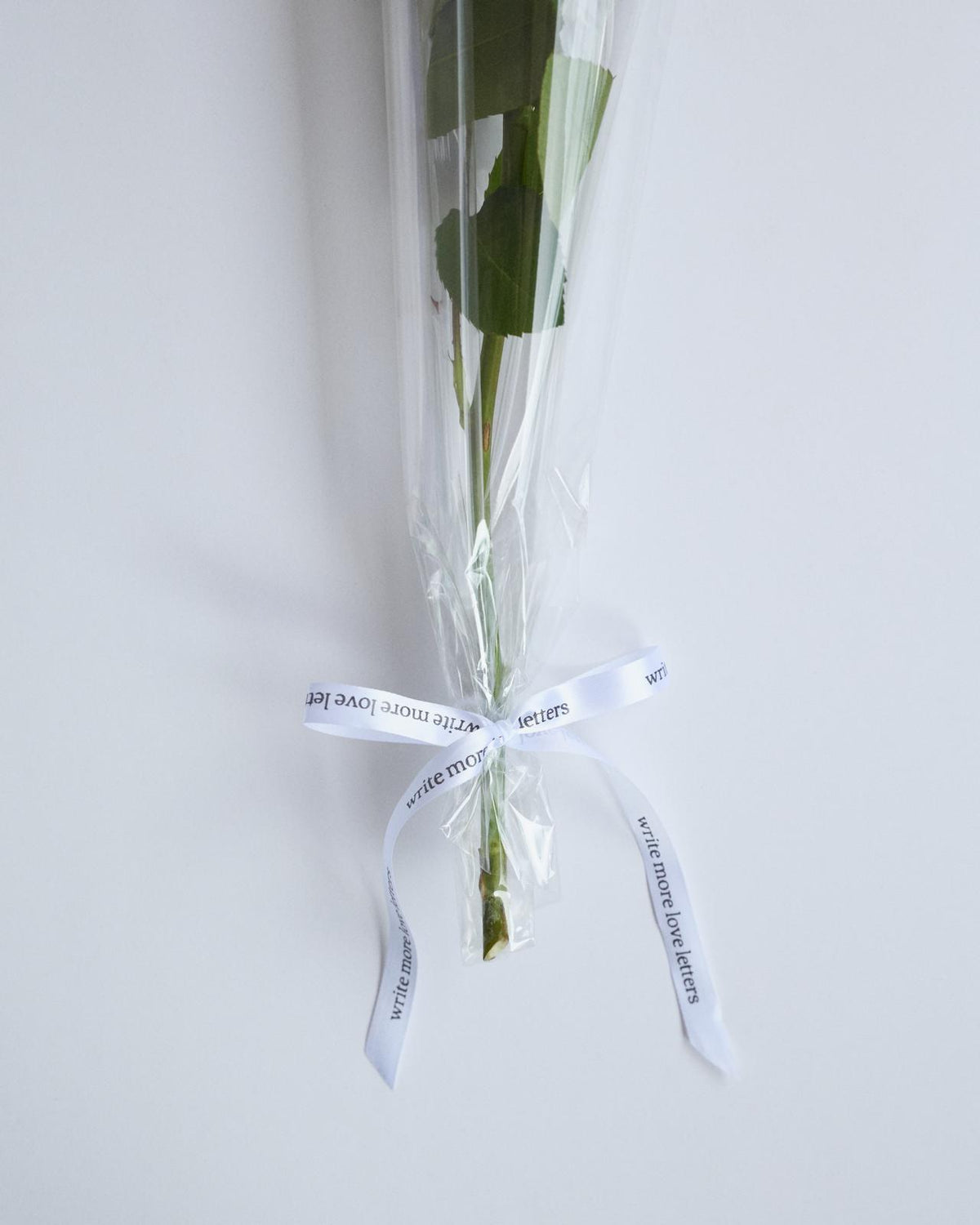 Kris Van Assche, introductory image