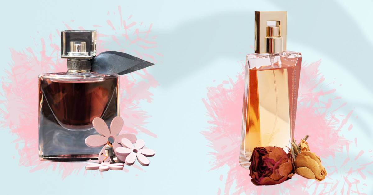 The Best Affordable Perfumes For 2024
